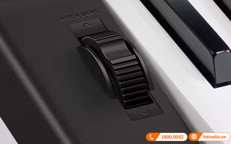 Đàn Organ Casio CT-X800-8