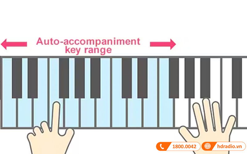 Đàn Organ Casio CT-X800-10