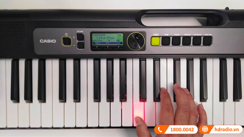 Đàn Organ Casio LK-S250, Keyboard phím sáng 61 phím-12