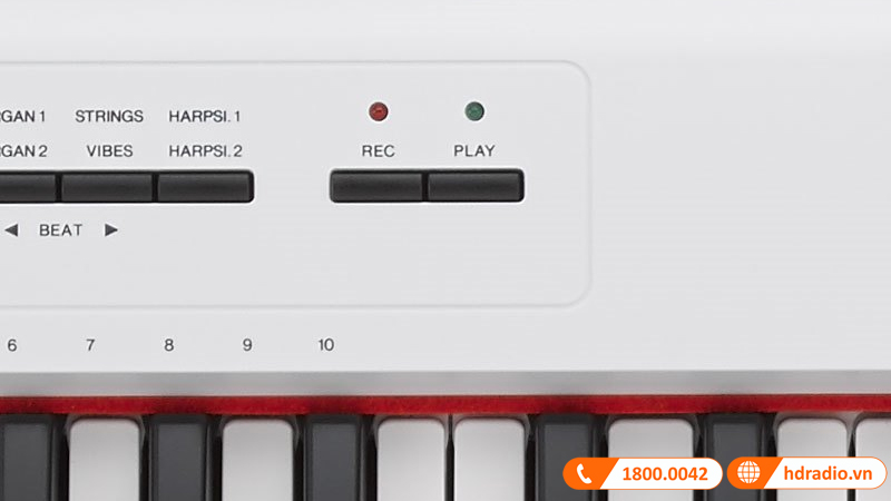 Đàn Organ Yamaha NP-12 