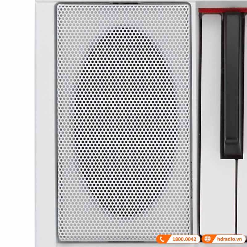 Đàn Organ Yamaha NP-12 