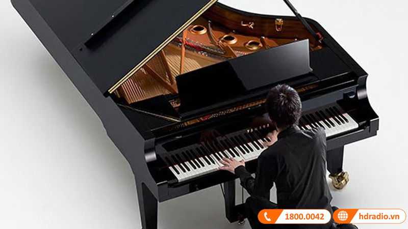 Đàn Organ Yamaha NP-12