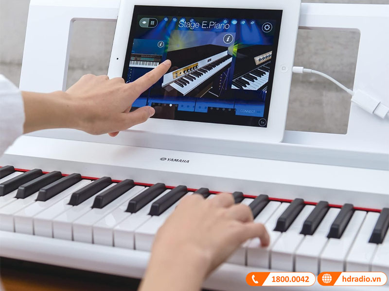 Đàn Organ Yamaha NP-12 