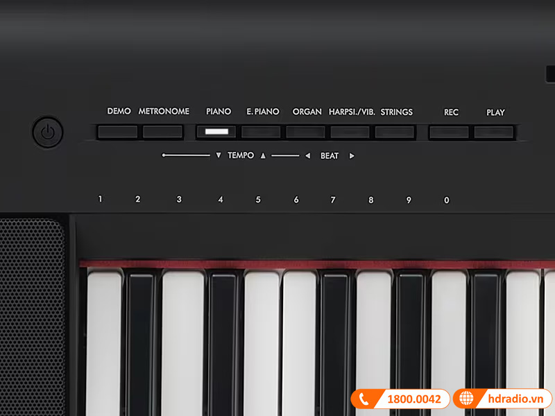 Đàn Organ Yamaha NP-35