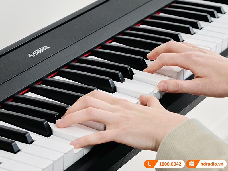 Đàn Organ Yamaha NP-15