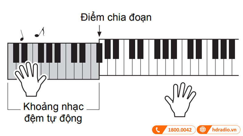 Đàn Organ Yamaha PSR E263