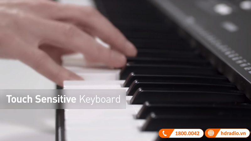 Đàn Organ Yamaha PSR E363