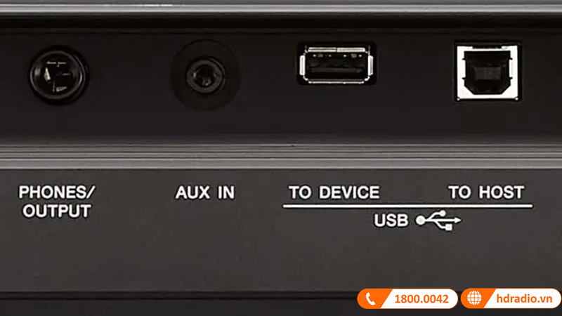 Kết nối Đàn Organ Yamaha PSR E463