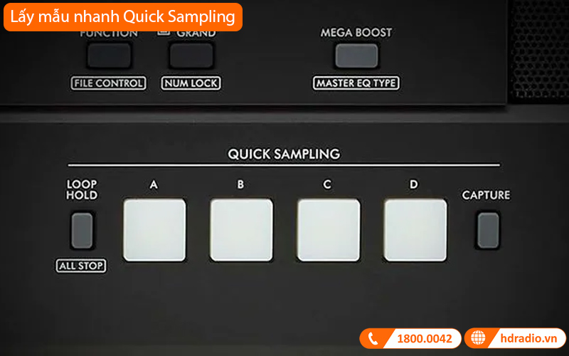 Đàn Organ Yamaha PSR EW425