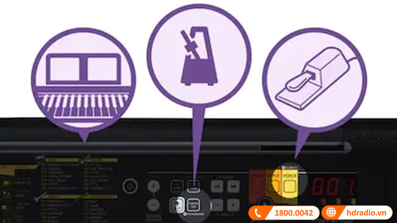 Đàn Organ Yamaha PSR F52