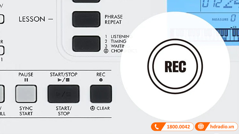 Đàn Organ Yamaha EZ300