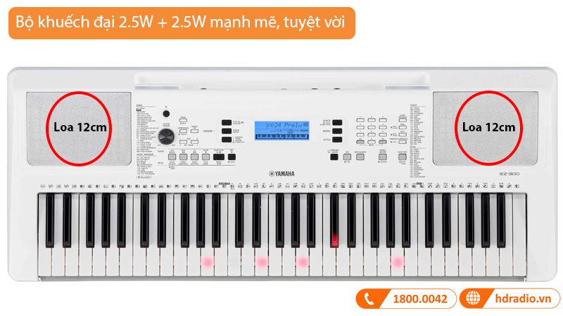 Đàn Organ Yamaha EZ300