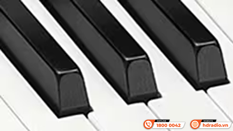 Đàn Piano Casio PX-S1000