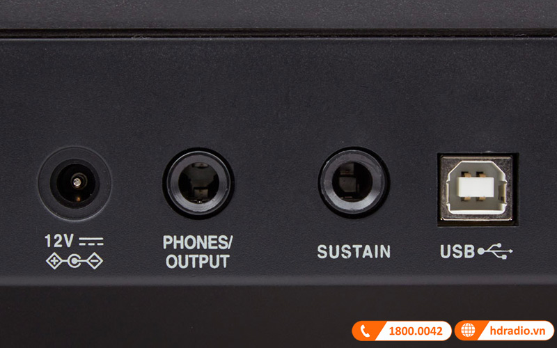 Đàn Piano Roland Go 88-P, piano điện-8