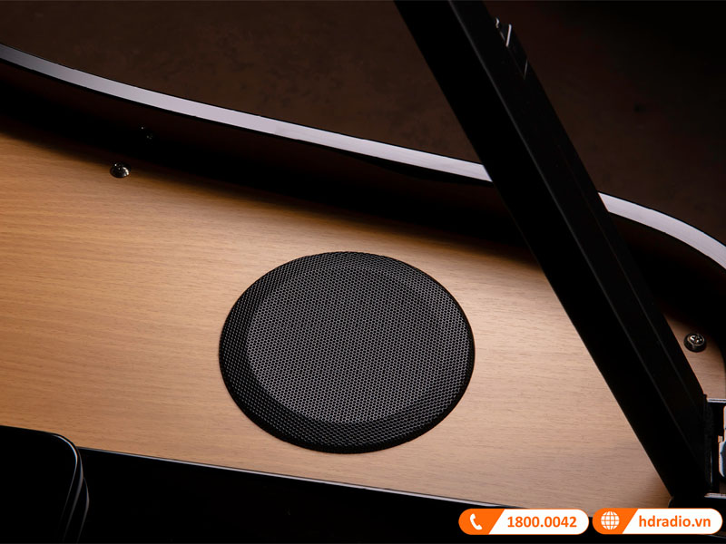 Đàn Piano Roland GP-6, piano điện-27