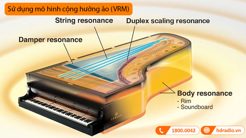 Đàn Piano Yamaha C3X SH3