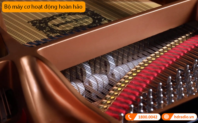 Đàn Piano Yamaha C5X