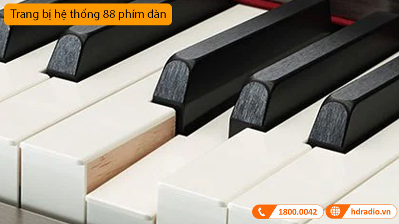 Đàn Piano Yamaha CLP-745