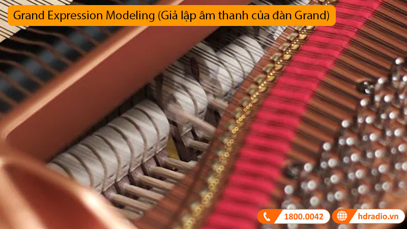 Đàn Piano Điện Yamaha CLP-765GP