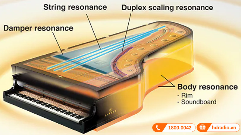 Đàn Piano Điện Yamaha CLP-775