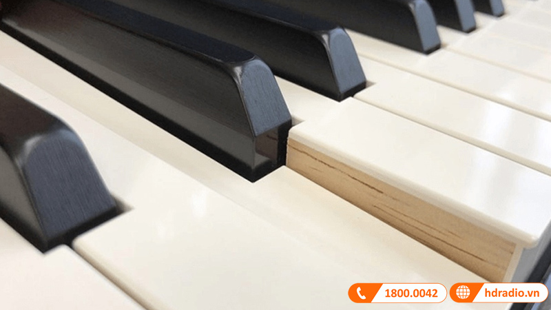 Đàn Piano Điện Yamaha CLP-785