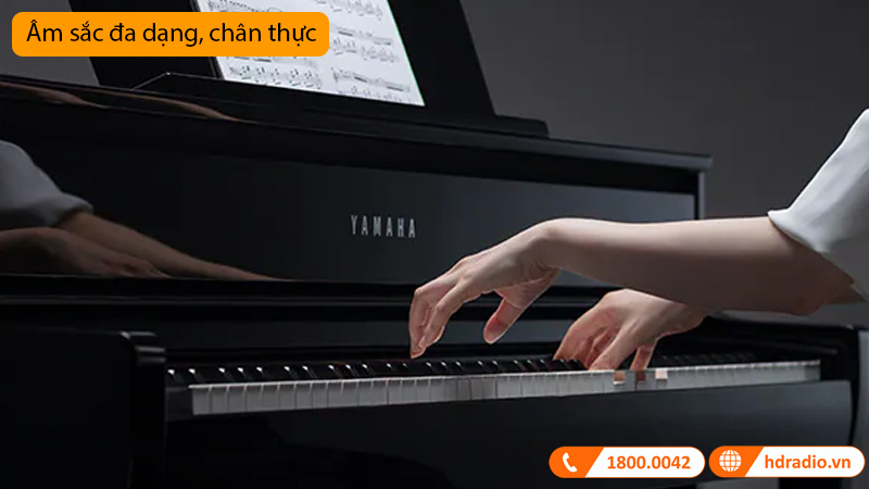 Đàn Piano Điện CLP-795GP