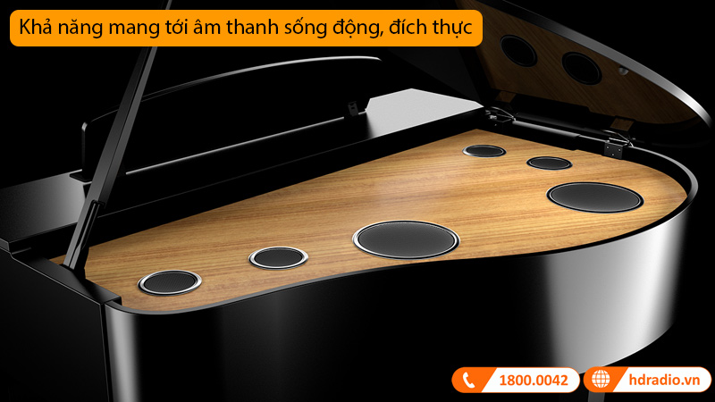 Đàn Piano Điện CLP-795GP