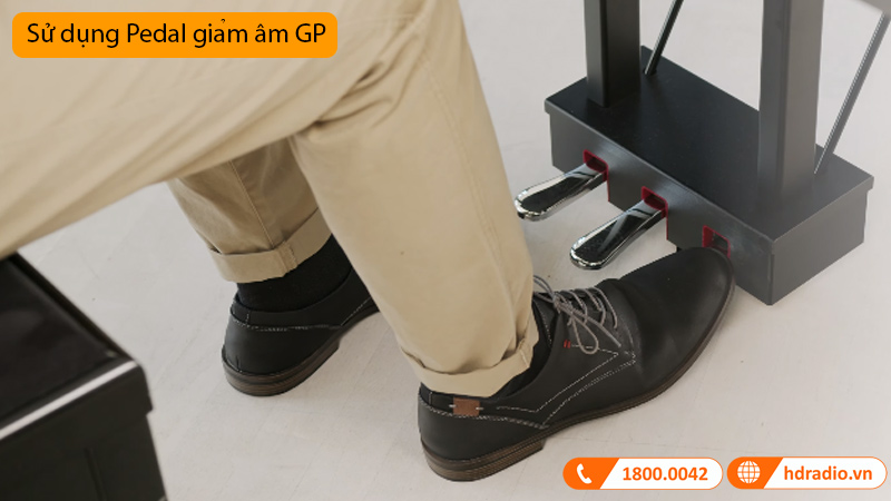 Đàn Piano Điện CLP-795GP