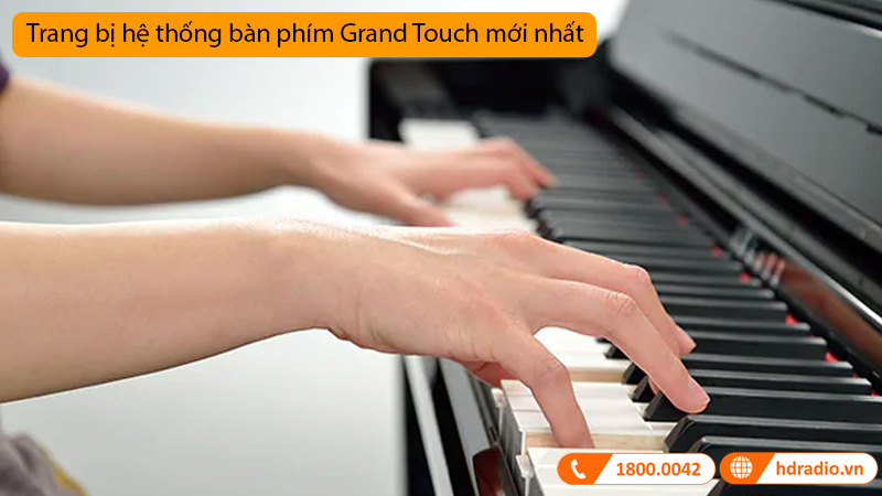 Đàn Piano Điện CLP-795GP