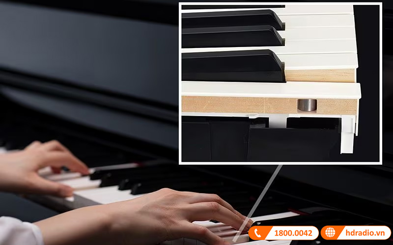 Đàn Piano Yamaha CSP-295GP