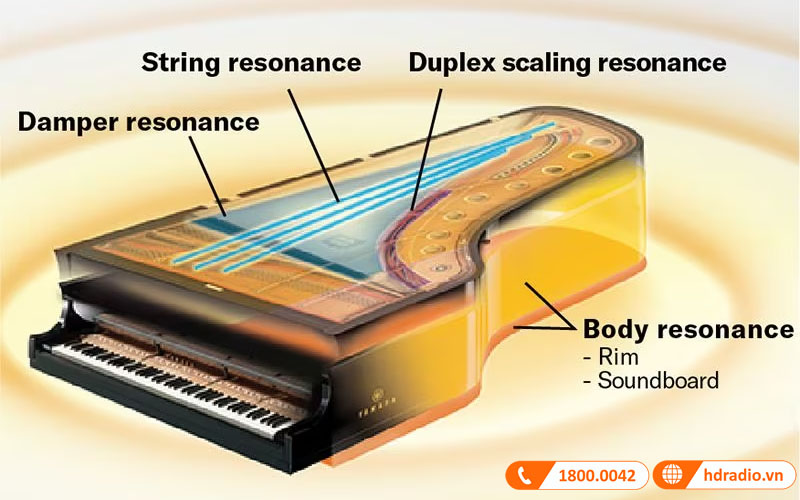 Đàn Piano Yamaha CSP-295