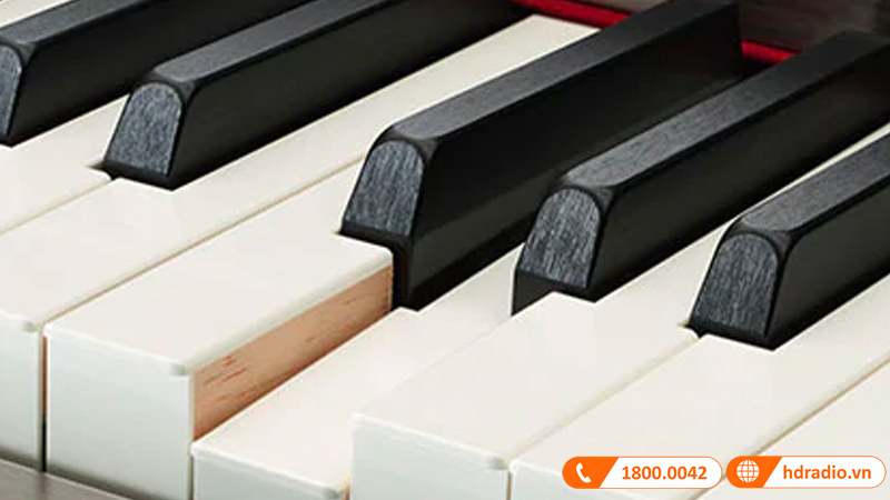 Đàn Piano Yamaha CVP-805