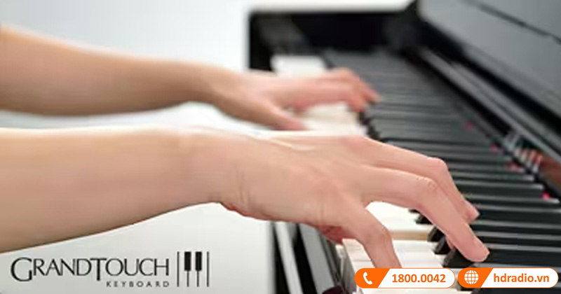 Đàn Piano Yamaha CVP-809