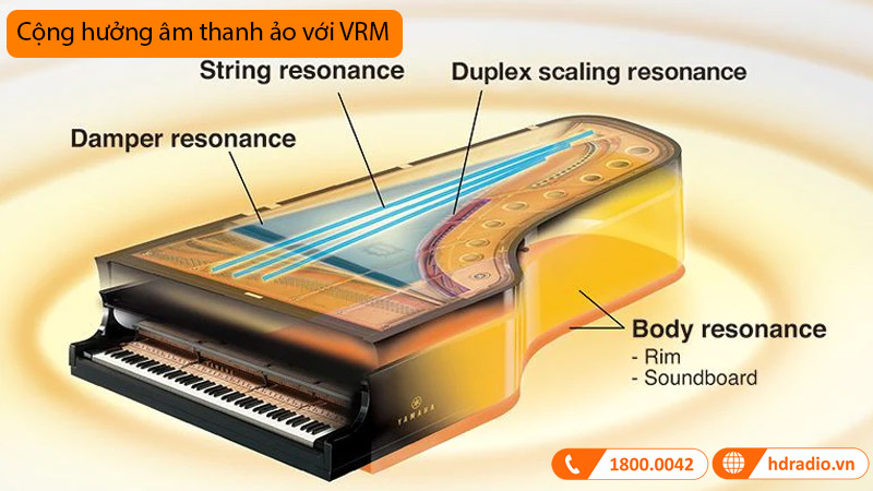 Đàn Piano Yamaha GC1 SH3