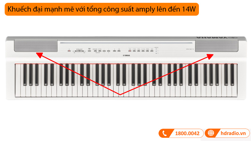 Đàn Piano Điện Yamaha P-121