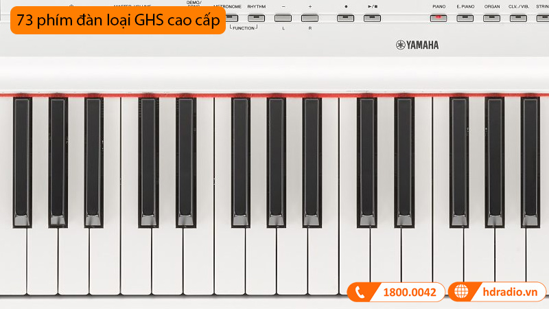 Đàn Piano Điện Yamaha P-121