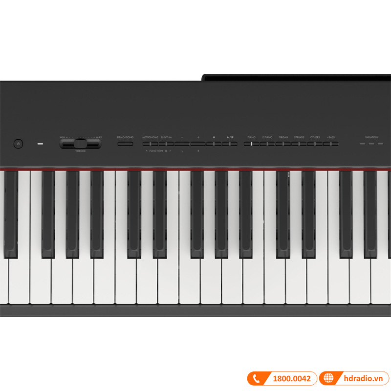 Đàn Piano Yamaha P-223-10