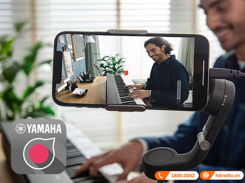 Đàn Piano Yamaha P-223