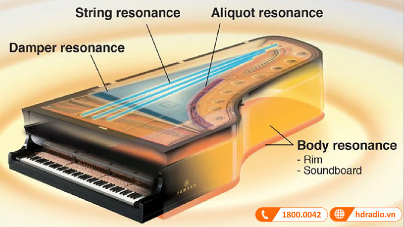 Đàn Piano Điện Yamaha P515