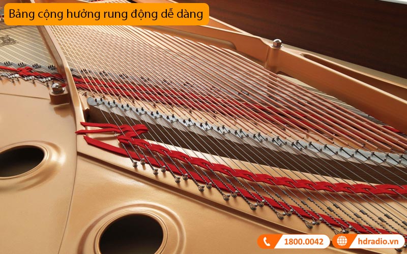 Đàn Piano Yamaha S5X