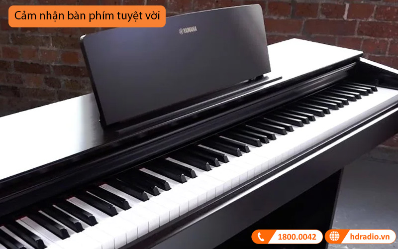 Đàn Piano Điện Yamaha YDP-103