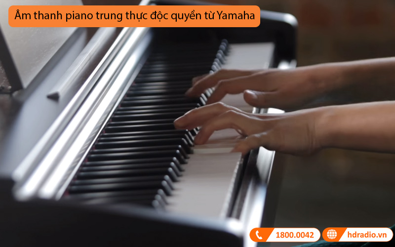 Đàn Piano Điện Yamaha YDP-103