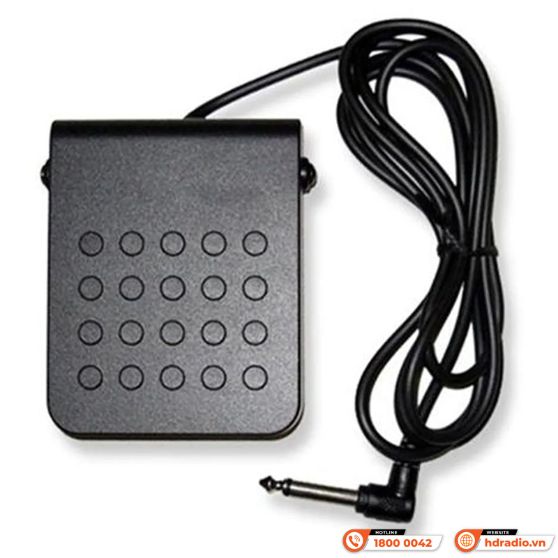 Bàn đạp Casio SP-3, pedal sustain đàn Organ-1