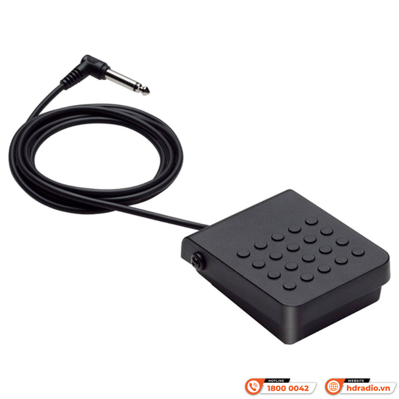 Bàn đạp Casio SP-3, pedal sustain đàn Organ-2