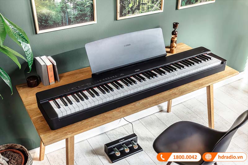 Bàn đạp Yamaha FC35 Bàn đạp Yamaha FC35