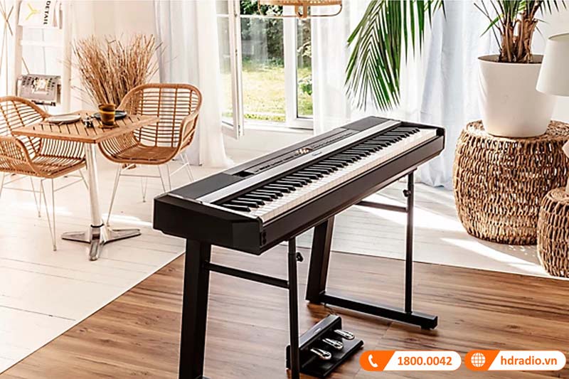 Bàn đạp Yamaha FC35 Bàn đạp Yamaha FC35