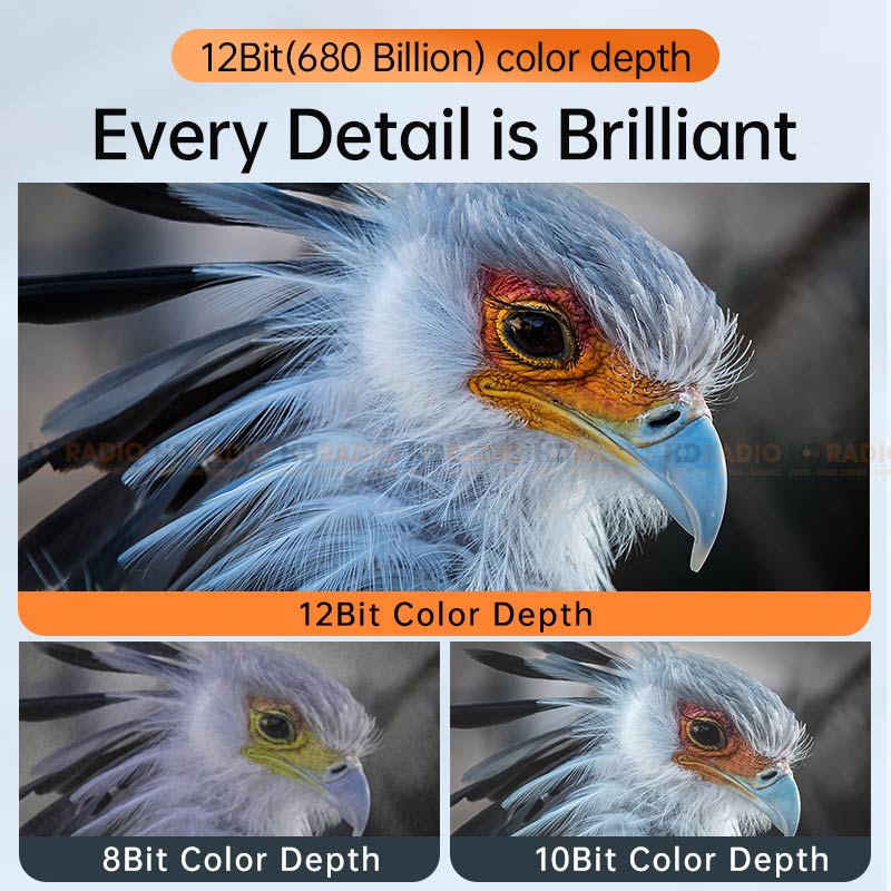 Cáp HDMI 8K JASOZ T-A