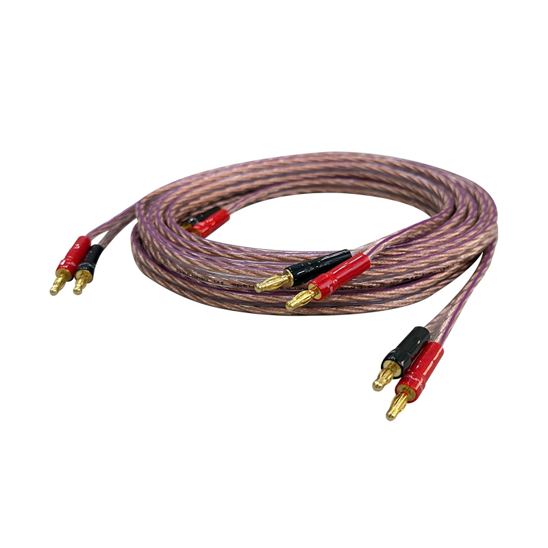 Cặp Dây Eagle Calypso 2x1.5 (dài 2.5M)