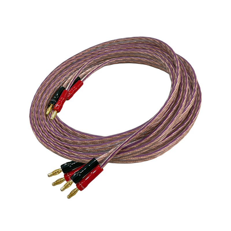 Cặp Dây Eagle Calypso 2X2.5 (dài 2.5M)