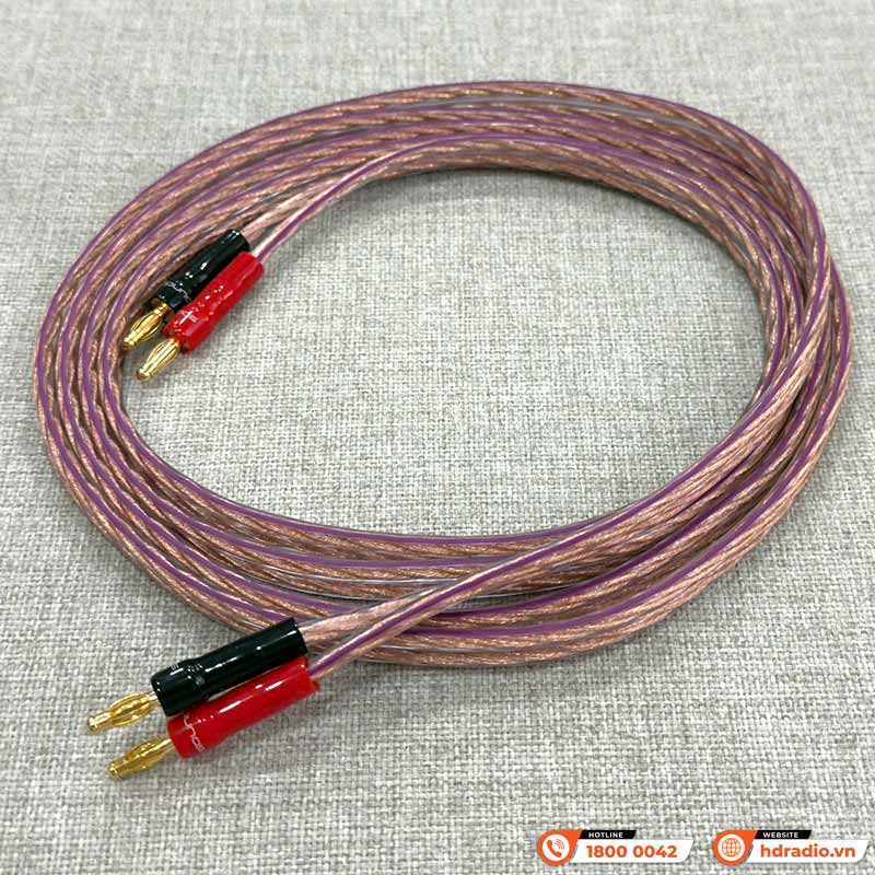 Cặp Dây Eagle Calypso 2X2.5 (dài 2.5M)-2